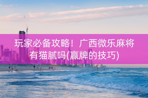 玩家必备攻略！广西微乐麻将有猫腻吗(赢牌的技巧)
