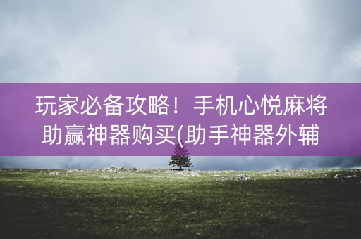 玩家必备攻略！手机心悦麻将助赢神器购买(助手神器外辅工具)