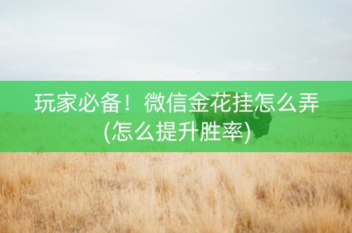 玩家必备！微信金花挂怎么弄(怎么提升胜率)