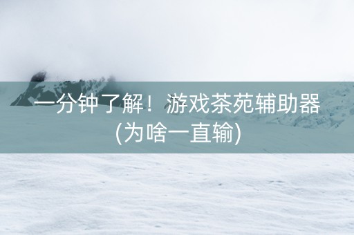一分钟了解！游戏茶苑辅助器(为啥一直输)