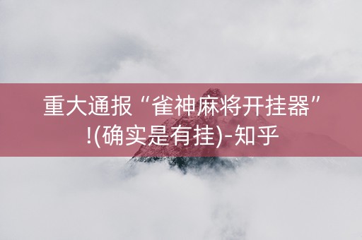 重大通报“雀神麻将开挂器”!(确实是有挂)-知乎