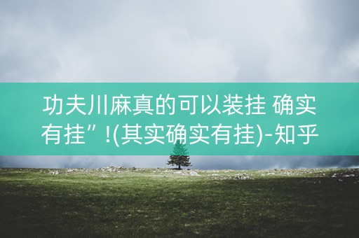 功夫川麻真的可以装挂 确实有挂”!(其实确实有挂)-知乎