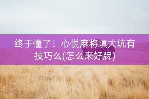 终于懂了！心悦麻将填大坑有技巧么(怎么来好牌)