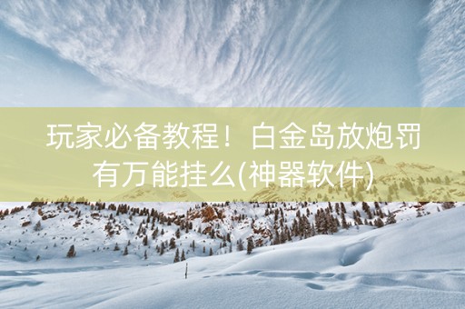 玩家必备教程！白金岛放炮罚有万能挂么(神器软件)