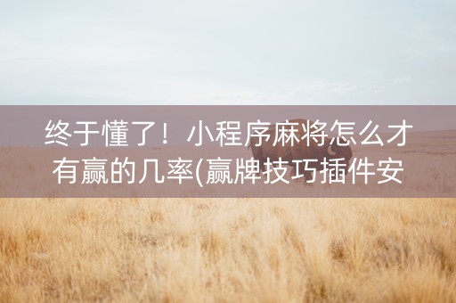 终于懂了！小程序麻将怎么才有赢的几率(赢牌技巧插件安装)