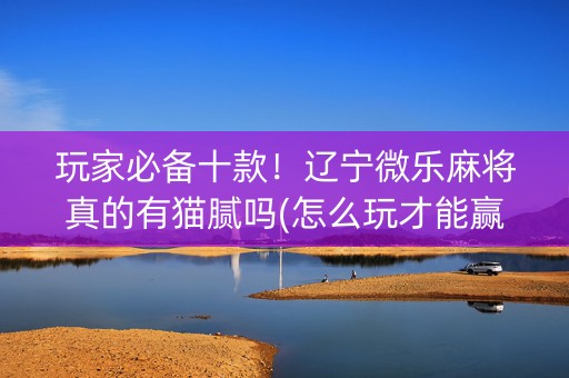 玩家必备十款！辽宁微乐麻将真的有猫腻吗(怎么玩才能赢)