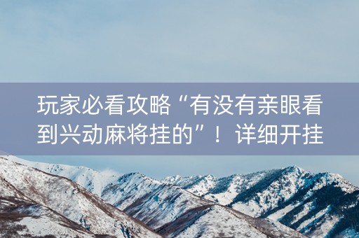 玩家必看攻略“有没有亲眼看到兴动麻将挂的”！详细开挂教程（确实真的有挂)-知乎