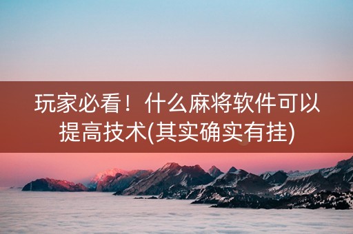 玩家必看！什么麻将软件可以提高技术(其实确实有挂)
