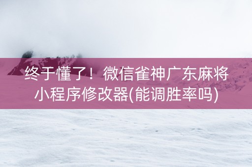终于懂了！微信雀神广东麻将小程序修改器(能调胜率吗)