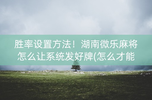 胜率设置方法！湖南微乐麻将怎么让系统发好牌(怎么才能起到好牌)