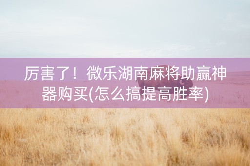 厉害了！微乐湖南麻将助赢神器购买(怎么搞提高胜率)
