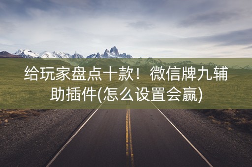 给玩家盘点十款！微信牌九辅助插件(怎么设置会赢)