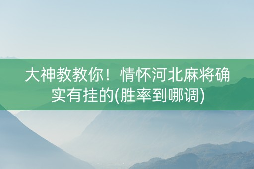 大神教教你！情怀河北麻将确实有挂的(胜率到哪调)