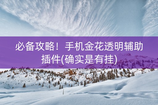 必备攻略！手机金花透明辅助插件(确实是有挂)