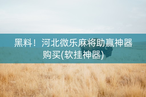 黑料！河北微乐麻将助赢神器购买(软挂神器)