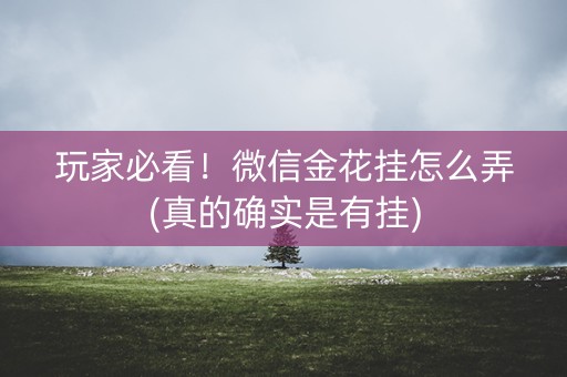 玩家必看！微信金花挂怎么弄(真的确实是有挂)