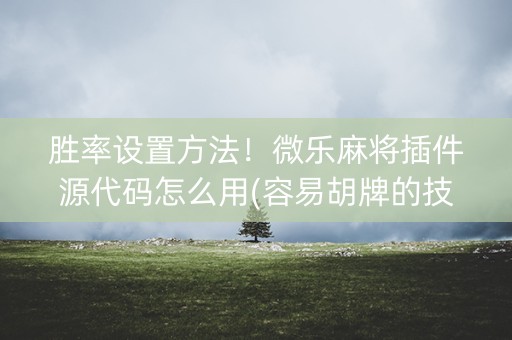 胜率设置方法！微乐麻将插件源代码怎么用(容易胡牌的技巧)