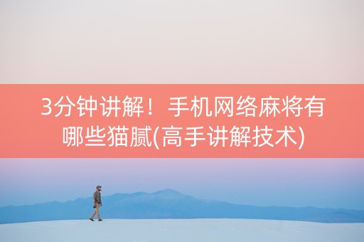 3分钟讲解！手机网络麻将有哪些猫腻(高手讲解技术)