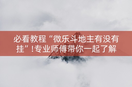 必看教程“微乐斗地主有没有挂”!专业师傅带你一起了解（详细教程）-知乎