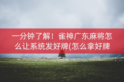 一分钟了解！雀神广东麻将怎么让系统发好牌(怎么拿好牌)