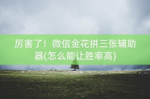 厉害了！微信金花拼三张辅助器(怎么能让胜率高)