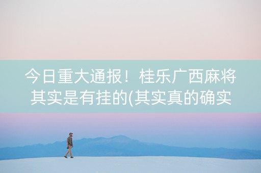 今日重大通报！桂乐广西麻将其实是有挂的(其实真的确实有挂)