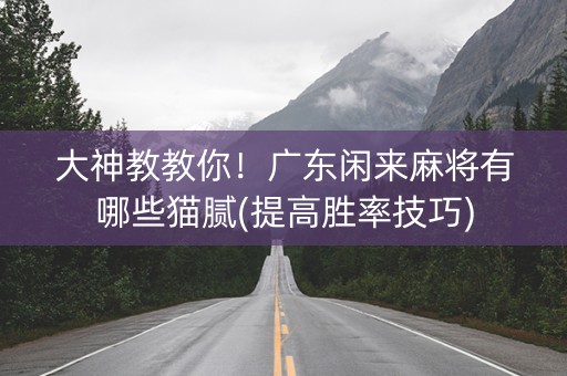 大神教教你！广东闲来麻将有哪些猫腻(提高胜率技巧)