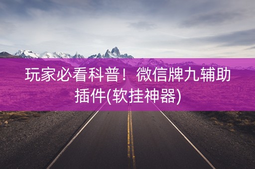 玩家必看科普！微信牌九辅助插件(软挂神器)