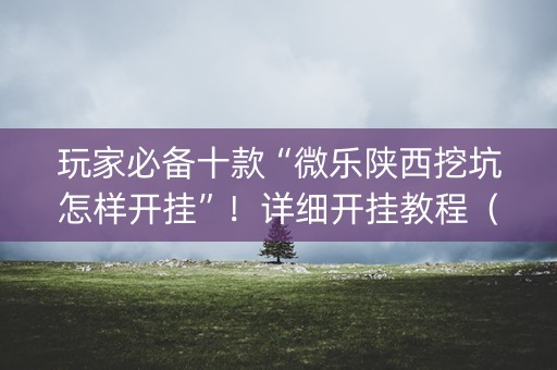 玩家必备十款“微乐陕西挖坑怎样开挂”！详细开挂教程（确实真的有挂)-知乎