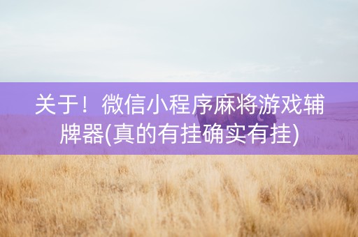 关于！微信小程序麻将游戏辅牌器(真的有挂确实有挂)