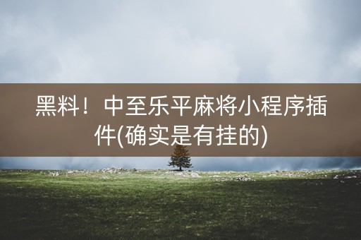 黑料！中至乐平麻将小程序插件(确实是有挂的)