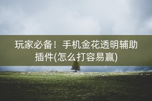 玩家必备！手机金花透明辅助插件(怎么打容易赢)