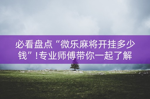 必看盘点“微乐麻将开挂多少钱”!专业师傅带你一起了解（详细教程）-知乎