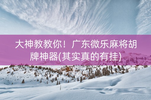 大神教教你！广东微乐麻将胡牌神器(其实真的有挂)