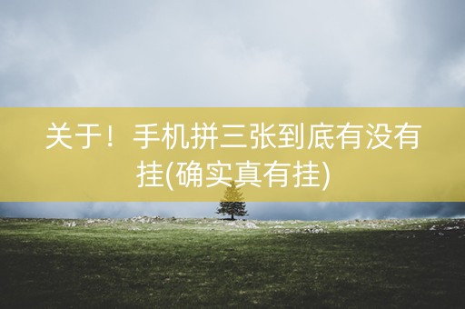 关于！手机拼三张到底有没有挂(确实真有挂)