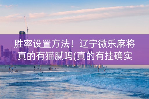 胜率设置方法！辽宁微乐麻将真的有猫腻吗(真的有挂确实有挂)