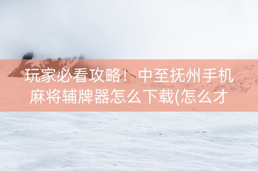 玩家必看攻略！中至抚州手机麻将辅牌器怎么下载(怎么才可以赢)