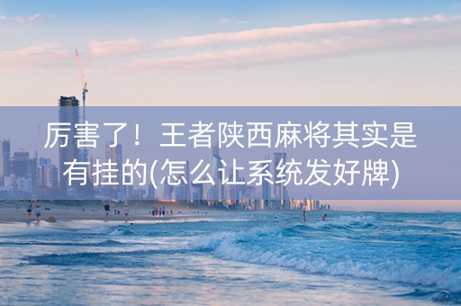 厉害了！王者陕西麻将其实是有挂的(怎么让系统发好牌)
