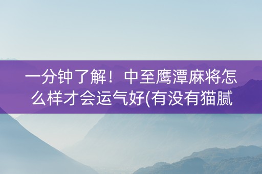 一分钟了解！中至鹰潭麻将怎么样才会运气好(有没有猫腻)