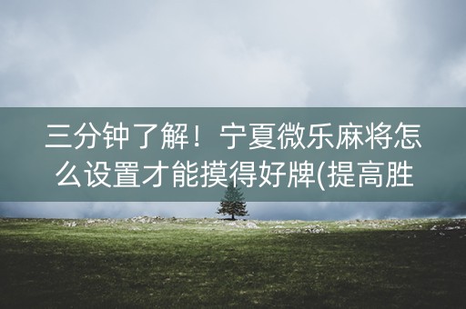 三分钟了解！宁夏微乐麻将怎么设置才能摸得好牌(提高胜率方法)