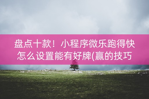 盘点十款！小程序微乐跑得快怎么设置能有好牌(赢的技巧提高胜率)