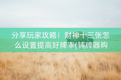 分享玩家攻略！财神十三张怎么设置提高好牌率(辅牌器购买)