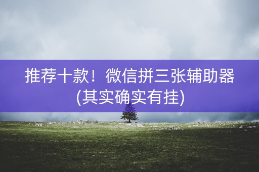 推荐十款！微信拼三张辅助器(其实确实有挂)