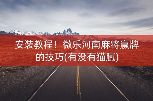 安装教程！微乐河南麻将赢牌的技巧(有没有猫腻)
