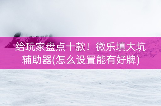 给玩家盘点十款！微乐填大坑辅助器(怎么设置能有好牌)