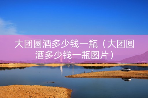 大团圆酒多少钱一瓶（大团圆酒多少钱一瓶图片）
