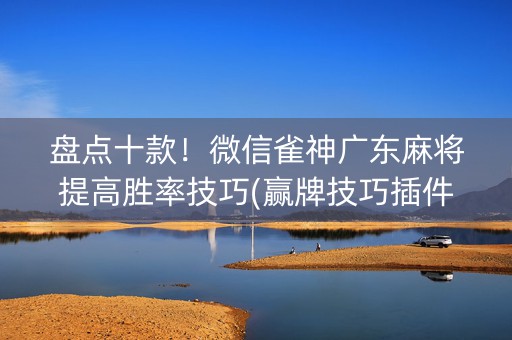 盘点十款！微信雀神广东麻将提高胜率技巧(赢牌技巧插件安装)