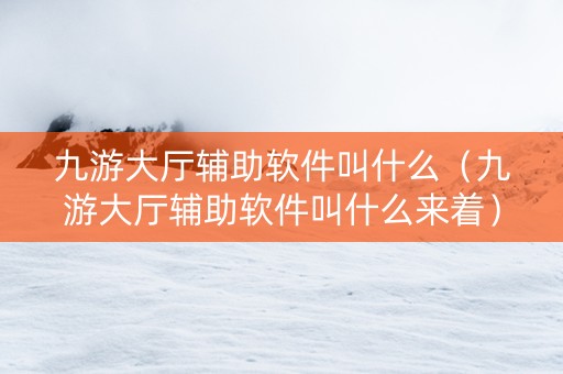 九游大厅辅助软件叫什么（九游大厅辅助软件叫什么来着）