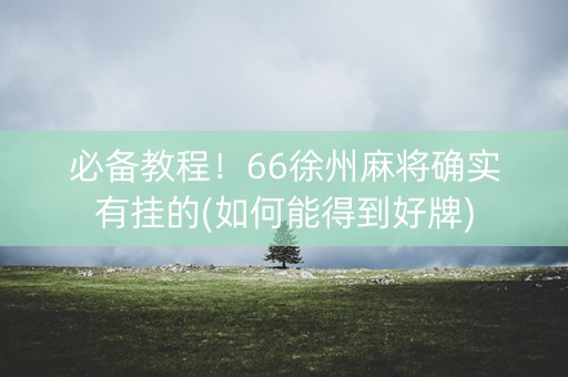 必备教程！66徐州麻将确实有挂的(如何能得到好牌)