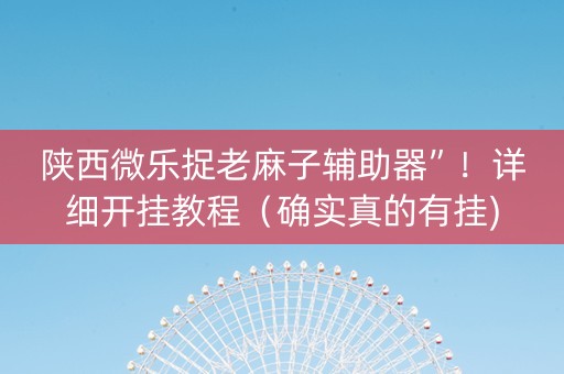 陕西微乐捉老麻子辅助器”！详细开挂教程（确实真的有挂)-知乎